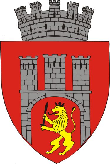 PRIMARIA SIGHISOARA